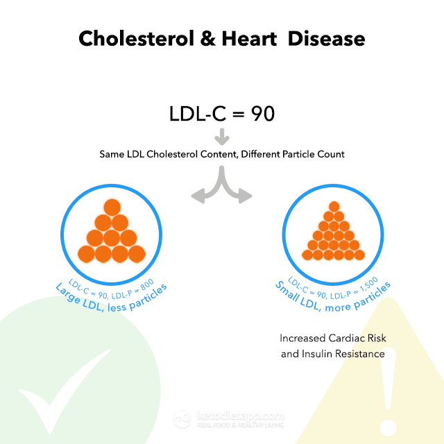 High Cholesterol on a Keto Diet - Should You Be Concerned?