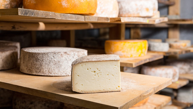 The Science of Cheese: All You Need To Know