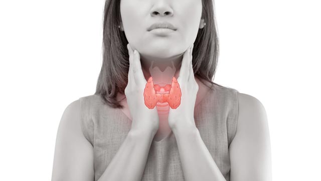 Are Keto and Low Carb Diets Suitable for People with Thyroid Disease?
