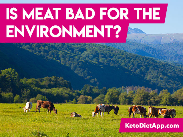 Is Meat Bad For the Environment? A Critical Review