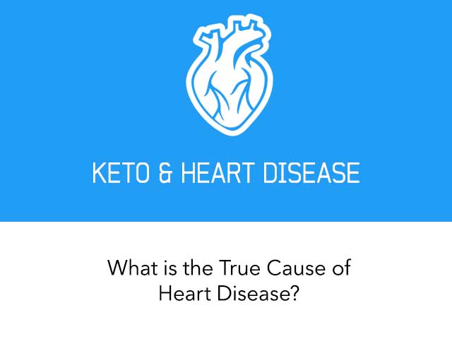 The True Cause of Heart Disease