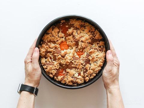 Low-Carb Apricot Crumble Coffee Cake