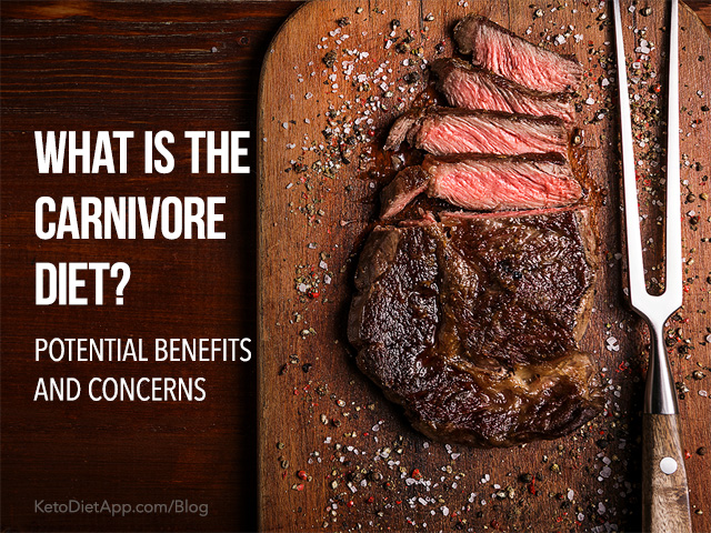 What is the Carnivore Diet? Potential Benefits and Concerns