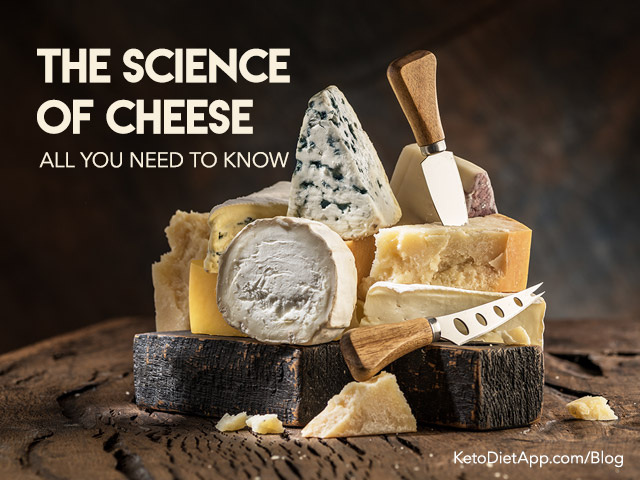 The Science of Cheese: All You Need To Know