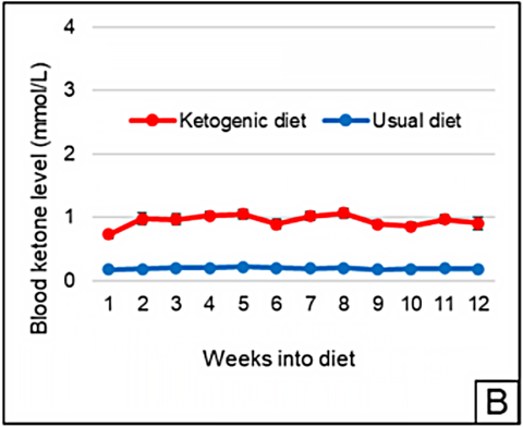 Ketogenic Diet Improves Symptoms of Alzheimer’s Disease in Randomized Controlled Trial (February 2021)