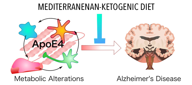 Mediterranean Ketogenic Diet for Alzheimer’s Prevention - New Scientific Paper, April 2021