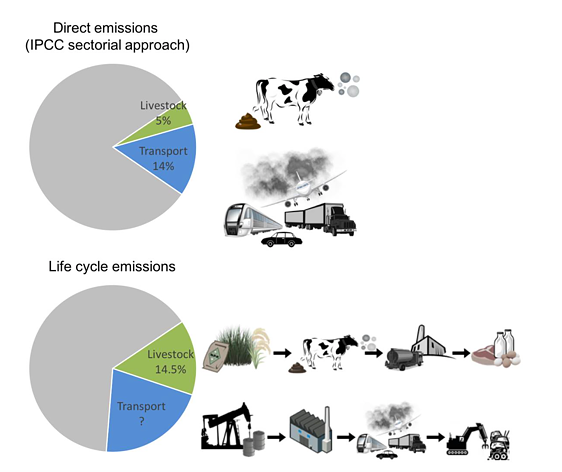 Is Meat Bad For the Environment? A Critical Review